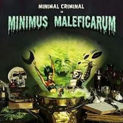 Minimal Criminal-Grave Robbers From Outer Space (Tripinstumble Rmx) LIVE Version