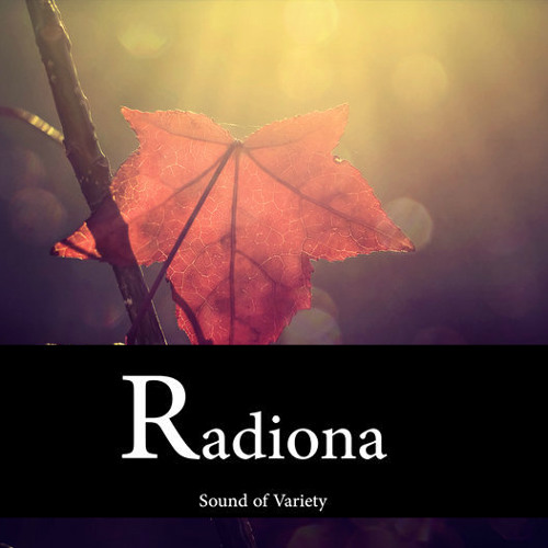 Morning #Radiona