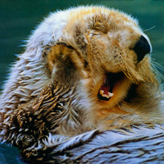 Diane Schuur - Nothing In This World