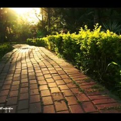 Khigiadn88 - Lối cũ ta về