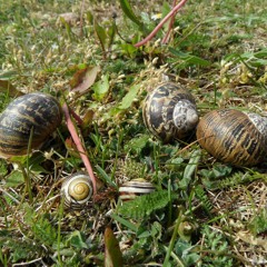 Especially no unnecessary rush