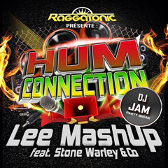 Lee Mashup feat Stone Warley & Big Ali - Hum Connection Extended (DJ JAM  Party Break)
