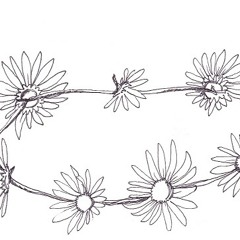 Zac & Ben Chapman - Black Cats and Hurricanes - Demo