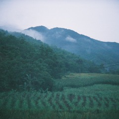 ２５コ目の染色体 [redux]