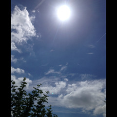 Costa (MMA) - Chilly Con Cane