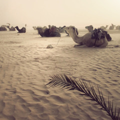 Local Suicide - We Can Go Everywhere