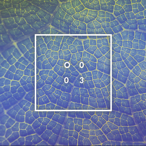 feat. O003