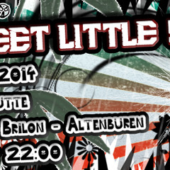 Luup @ Techno Emergency - Sweet little 5 Years, Reermanns Hütte Brilon, 14.06.2014