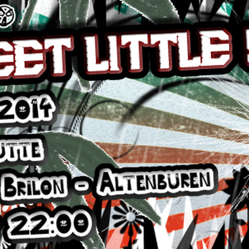 Luup @ Techno Emergency - Sweet little 5 Years, Reermanns Hütte Brilon, 14.06.2014