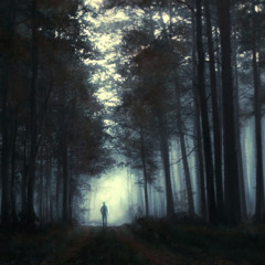 Shining in the dark Forest.Live mix by Jacky Ligor Spirit