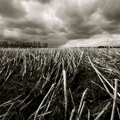 After Nuclear Winter