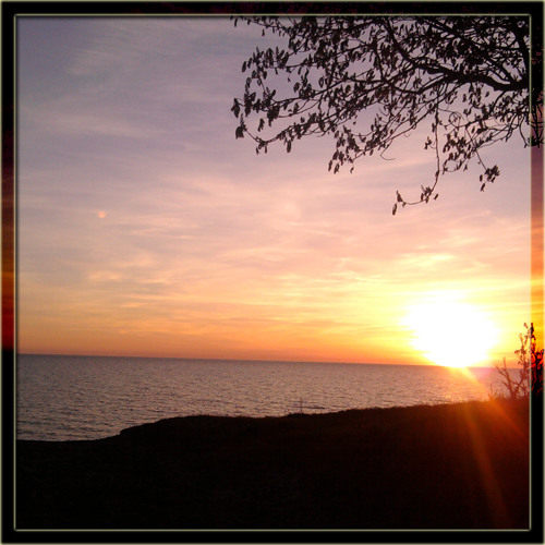 Progressive House Trellum - Sunrise