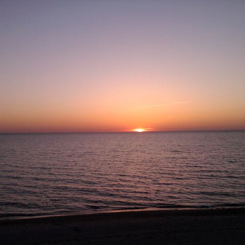 Progressive House Trellum - An Angel From My Dreams