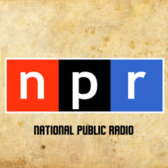 MC Yogi NPR interview