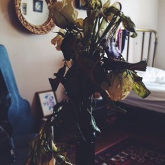 Tender is the Plight