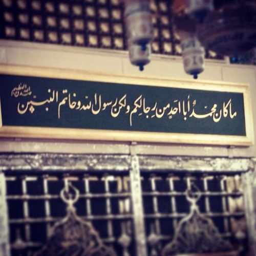 الي رحاب النبي _ المداح : أمين الدشناوى