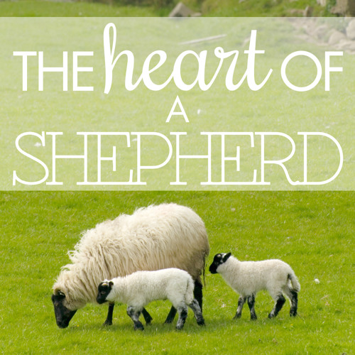 Stream The Heart of a Shepherd 1&2 by Grow Serve Lead | Listen