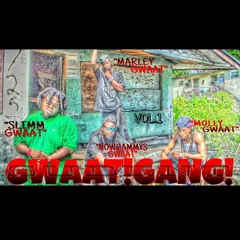 LIKE A MOFIA- GWAATGANG ( prod, by SLAYBOOGIE )