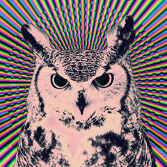 Dirty Owl - Dominatrix