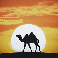 The Sunrise in Sahara