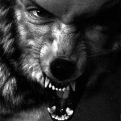 Anamalistic by Mind Probe