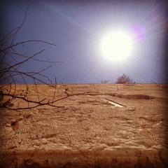 131114_SlowYourRoll57-5