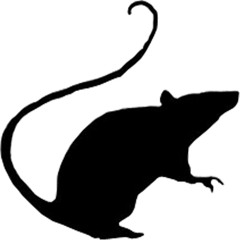 Lab Rats - Demi - Gods  (AJ Styles Intro)  Free download