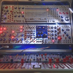 Ok And Not Ok (buchla electric music box)