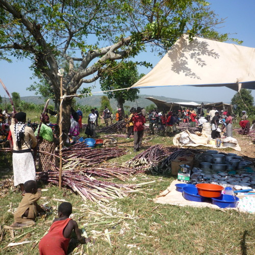 Q&A: Rethinking approaches to refugee assistance