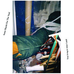 Tony Irving & Adam Cadell - An Invasion of Glass Locusts