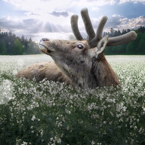 Sangeet´s Early Summer Mix 2014