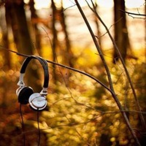 نور الدين خورشيد  وصلة نهاوند