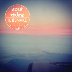 Solé x THUMP Fixtape Vol. 26: Tensnake