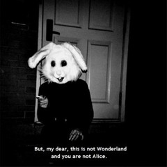 This is not Wonderland and You are not Alice