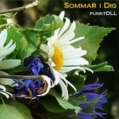 punkt DLL - Sommar I Dig