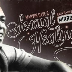 Sexual Healing (Dnb Lovers Remix)