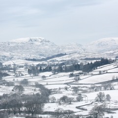 Working In The Snow