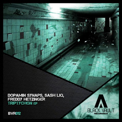 Dopamin Synaps, Freddy Hetzinger, Sash Liq - Triptychon (Original Mix)