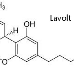 Kendrick Lamar/Krs one/Flat Bush Zombies type beat/Boom Bap Shit[PROD.by Lavolt]