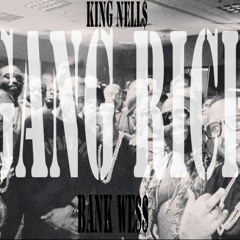 King Nell$ x Bank We$$- GANG RICH (2015) (Prod by.  @SkinnyMooXe)