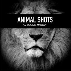 Animal Shots (Martin Garrix Vs. LMFAO Ft. Lil Jon)