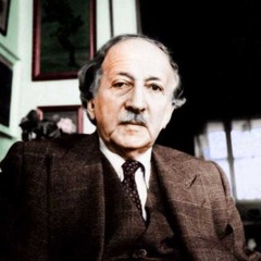 الشريف محي الدين حيدر | معزوفة كابريس