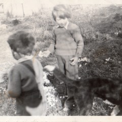 Heart And Soul (Sheedy Frost) Ukulele Cover