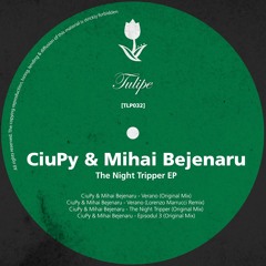 CiuPy & Mihai Bejenaru - The Night Tripper (Original Mix)