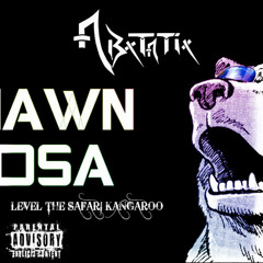 Level The Safari Kangaroo (SVD x Shawn Rosa x Avicii) (A b s t a t i x Mash Up)