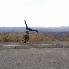 Ragged Wood (Fleet Foxes cover)