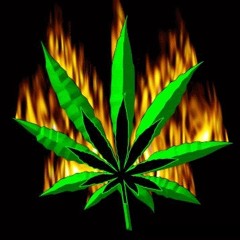 Tan K a.k.a Ganja - JGKid, Đen, EmceeL, KraziNoyze, Dsk