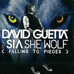 David Guetta - She Wolf (Falling To Pieces) ft. Sia (Dirty Tzn Reboot)