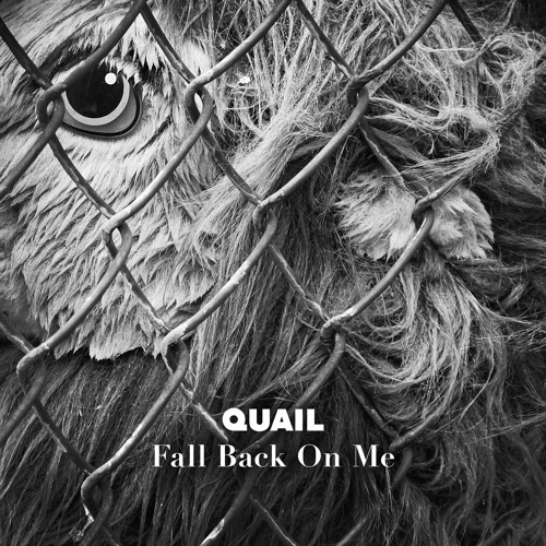 Stream QUAIL - Fall Back On Me by Quail Music DK | Listen online for ...
