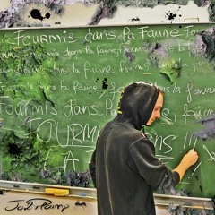 14 Chacun son parcours - Jo2Plainp & Double 3 -